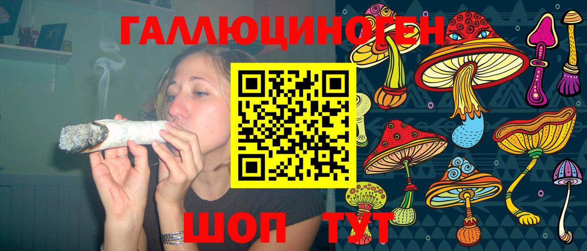 Псилоцибиновые грибы Psilocybe Воронеж